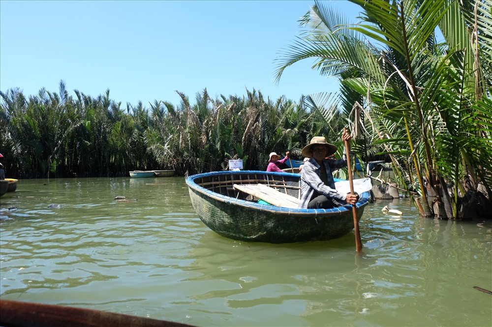 Rừng dừa nước bảy mẫu rộng hàng chục hecta nằm giáp 3 con sông Đế Võng, Thu Bồn và sông Hoài ngay khu vực Cửa Đại. Là vùng nước lợ nên rất thích hợp để dừa nước phát triển. Đến đây, du khách sẽ được đưa xuống thuyền thúng để len lỏi vào trong rừng dừa.