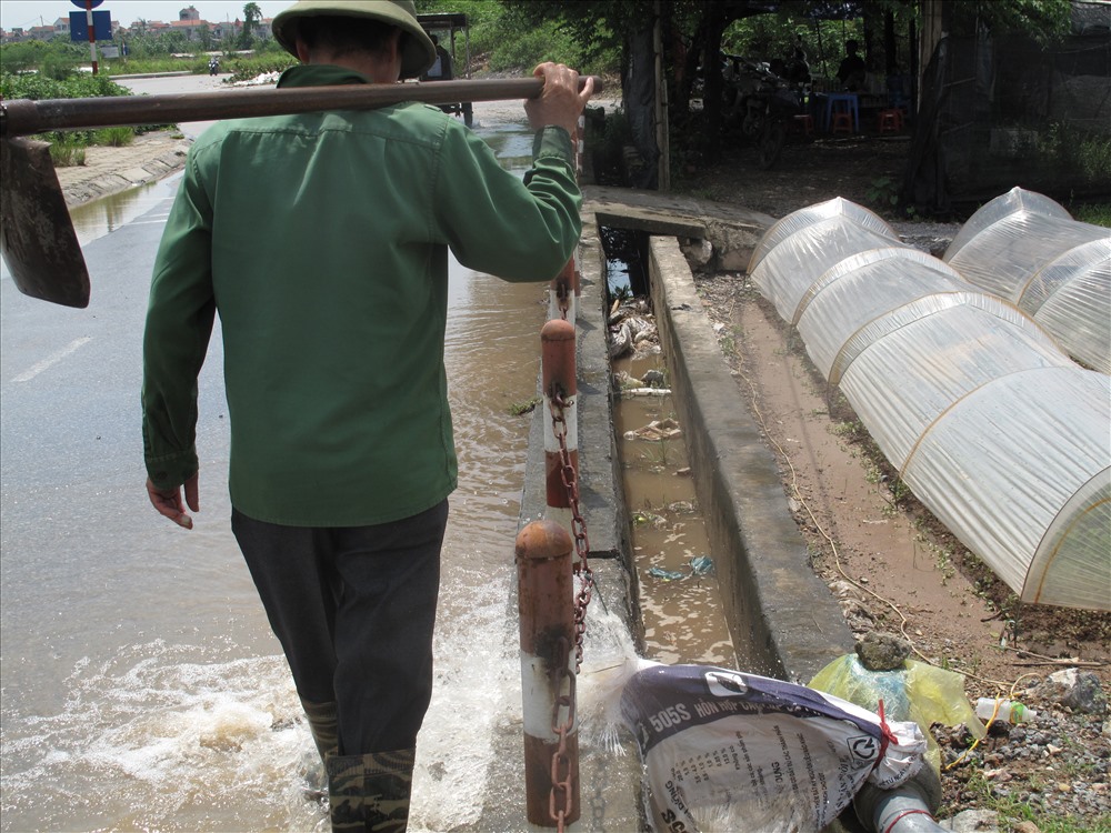 Chú Điền sử dụng máy bơm công suất lớn để bơm nước từ ruộng rau ra đường