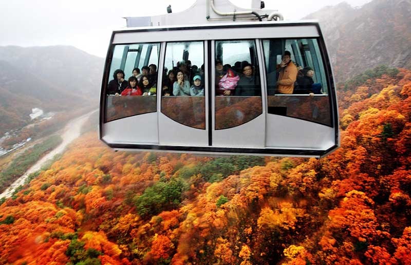 Say lòng trước vẻ đẹp Hàn Quốc mùa lá đỏ. Ảnh: Intertour