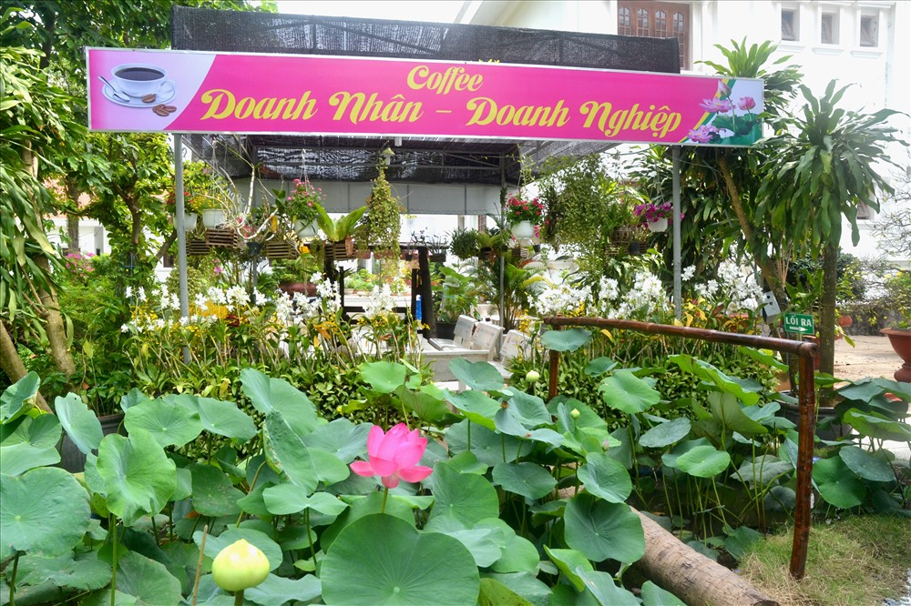 Mặt tiền quán Cà phê doanh nhân - doanh nghiệp trong khuôn viên UBND tỉnh Đồng Tháp- nơi lãnh đạo UBND tỉnh Đồng Tháp dành để tiếp doanh nghiệp. Ảnh: Lục Tùng