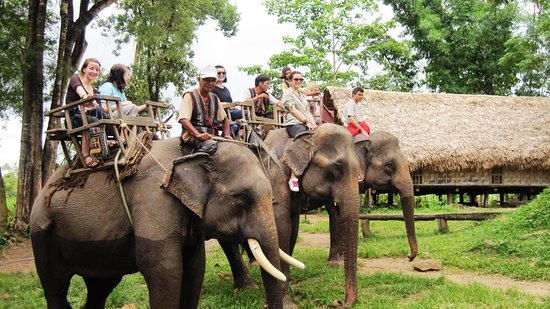 Du khách trải nghiệm một ngày làm quản tượng, chăm sóc và giao tiếp với những chú voi thay vì hình ảnh nhiều người ngồi cưỡi lên voi Yok Don. Ảnh: DL