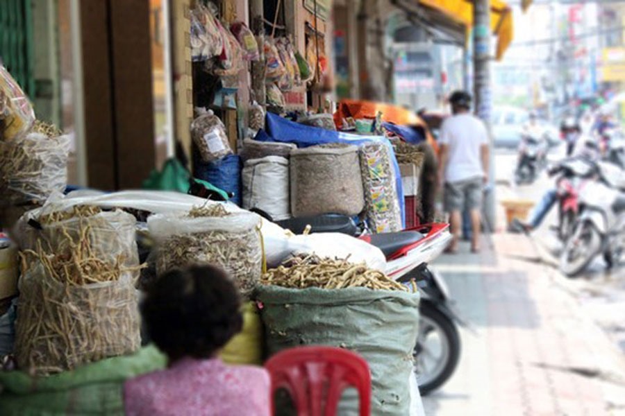 Một tuyến phố bán Đông dược nổi tiếng tại Hà Nội.
