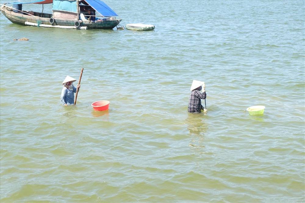 Hai người phụ nữ “bất chấp” cái nắng nóng để bắt chip chip giữa sông Hàn 