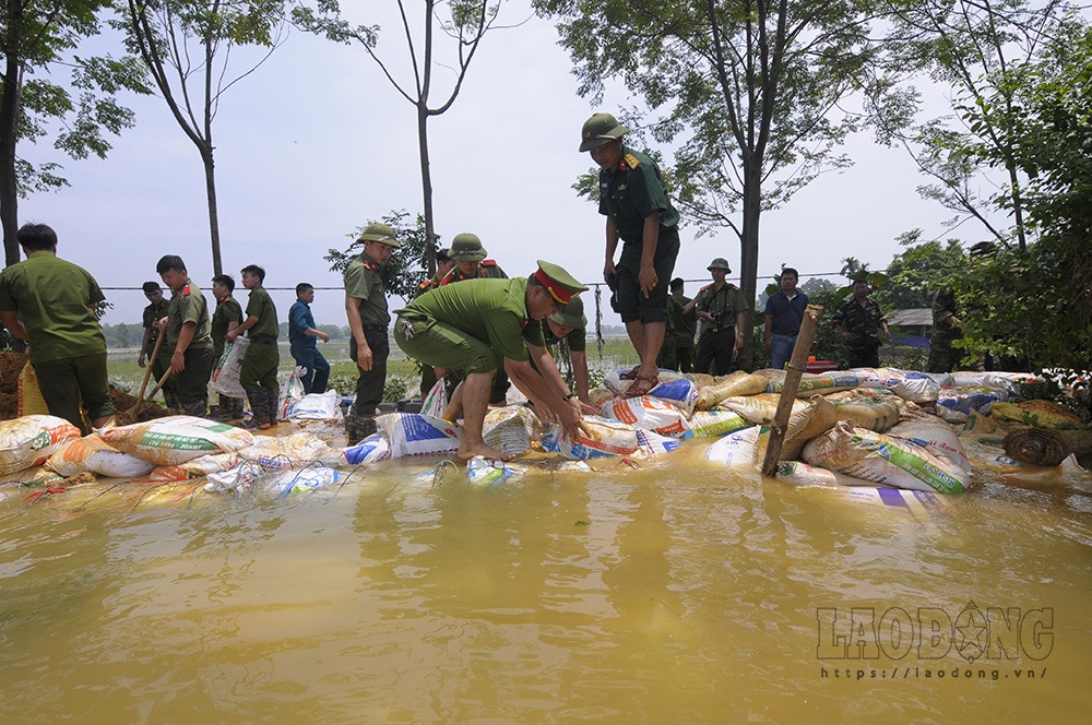 Để ngăn nước tràn xuống vùng hạ lưu thuộc huyện Quốc Oai (Hà Nội), người dân các địa phương cùng bộ đội đã cho đất vào bao tải để tạo đập tạo ngăn lũ.