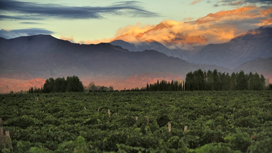 Thành phố Mendoza, nơi được coi là trái tim của ngành công nghiệp sản xuất rượu vang ở Argentina. (Ảnh: Shutterstock)