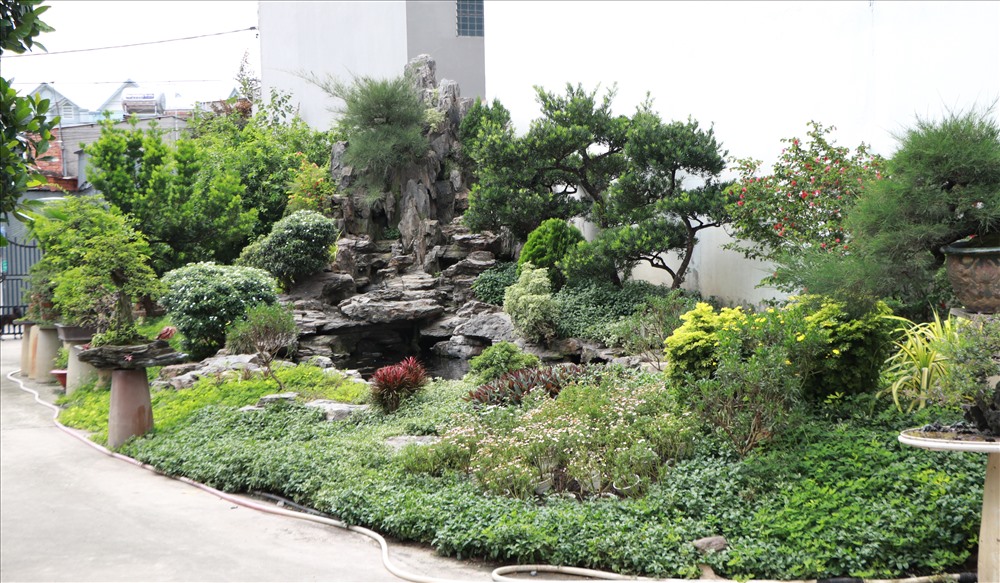Tiểu cảnh sân vườn của nghệ nhân Lâm Ngọc Vinh với nhiều loại bonsai do ông tự thiết kế
