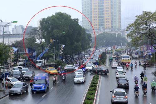 Sáng 9.3, hàng loạt cây keo hai bên đường bắt đầu bị chặt hạ. Hình ảnh trước cổng Đài Truyền hình Việt Nam (43 Nguyễn Chí Thanh)