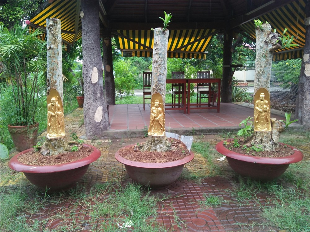 Siêu phẩm bộ điêu khắc Phước Lộc Thọ dát vàng và trạm trổ trên thân cây. anh: QV