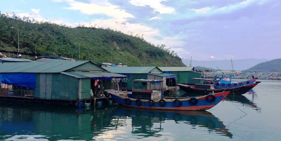 Vũng Áng (Hà Tĩnh) có khoảng 18 bè nổi chuyên kinh doanh mực nhảy nhưng đã tạo nên một thương hiệu không nơi nào có được.