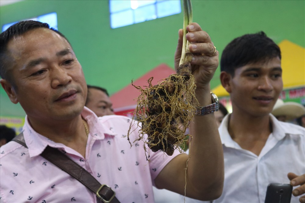 Lễ hội năm nay thu hút hàng trăm lượt khách đến tham quan. Ảnh: Đ.V