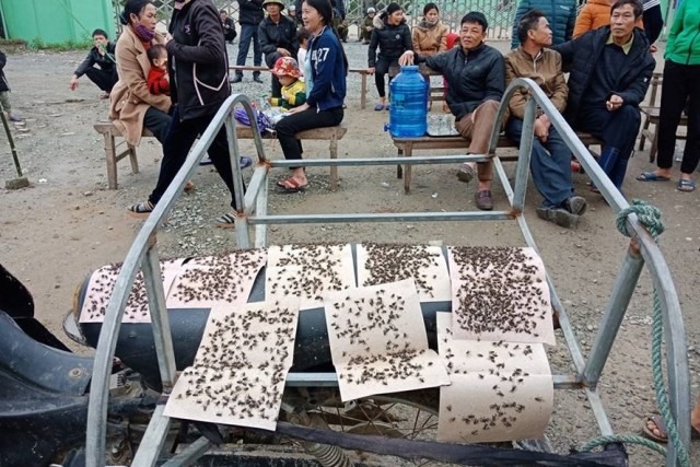 Trước đó, tháng 2.2018 người dân thôn Nam Xuân Sơn cũng đã bức xúc tập trung phản đối nhà máy xử lý rác Phú Hà gây ô nhiễm.