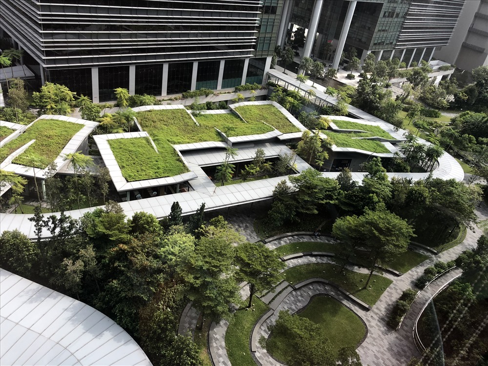 Khuôn viên trụ sở Google ở Singapore. Ảnh: V.A