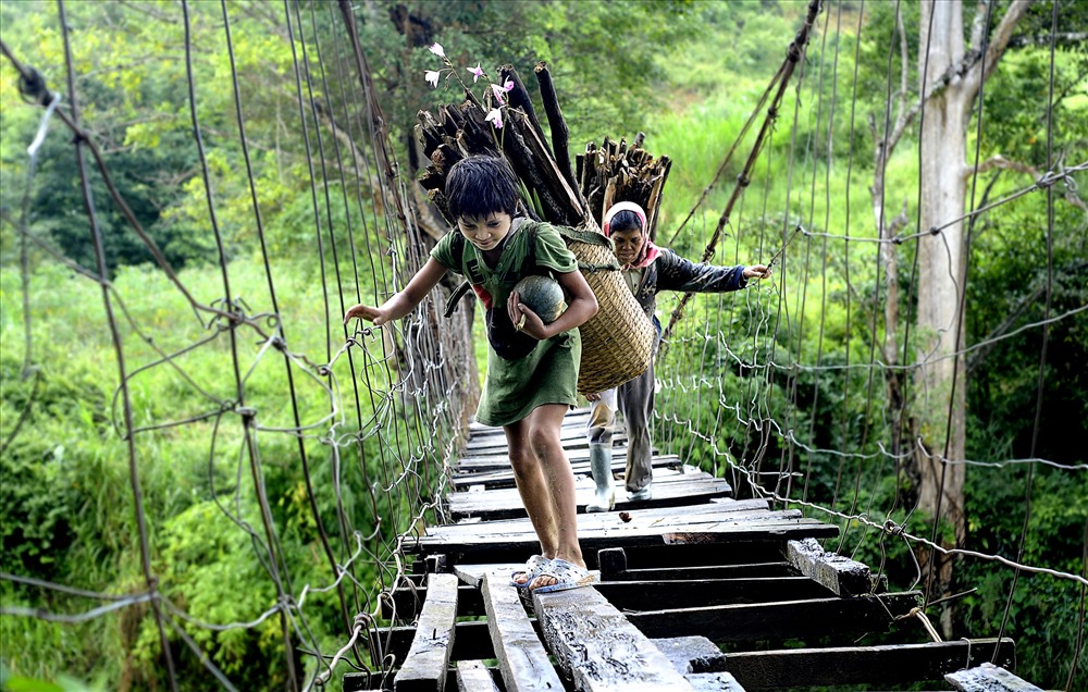 “Nhành lan rừng” của Trịnh Thu Nguyệt (Đà Nẵng) đoạt giải cao trong cuộc thi ảnh “Đất và người” do Báo Nông thôn Ngày nay tổ chức.