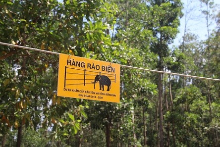 Theo thống kê, trong khoảng 10 năm trở lại đây, trên các cánh rừng thuộc địa phận của tỉnh hiện có đàn voi khoảng 15 cá thể.
