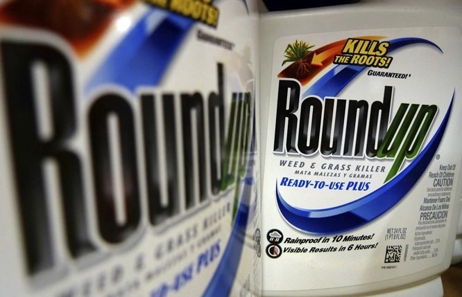 Sản phẩm thuốc diệt cỏ Roundup được cho là chứa chất gây ung thư cho ông Dewayne Johnson - Ảnh: AP