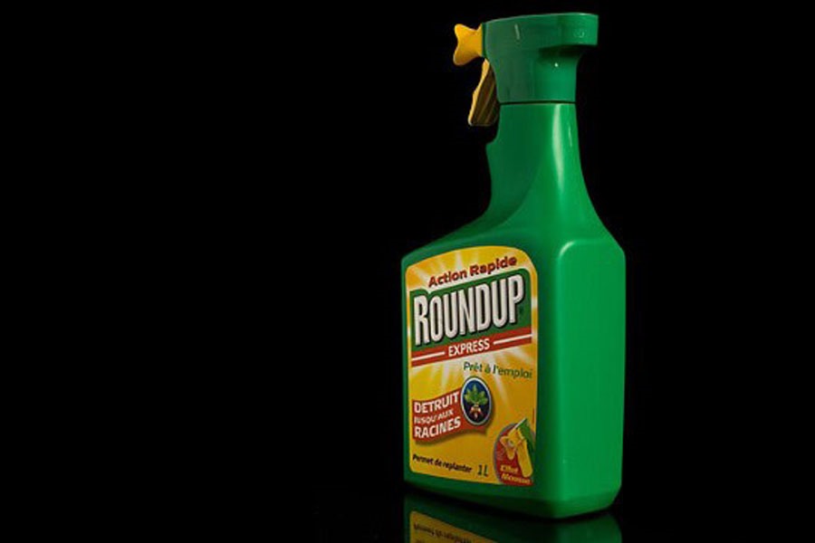 Thuốc diệt cỏ phổ biến Roundup chứa glyphosate bị cấm sử dụng ở Colombia (ảnh minh họa). Ảnh: A.C