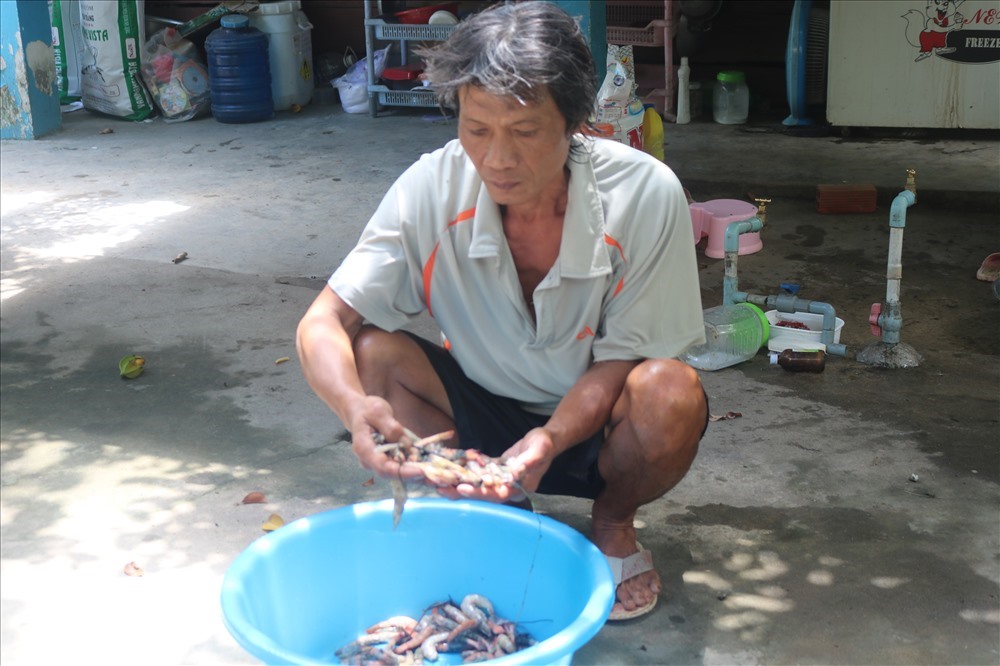 Một hộ dân tại xã Đa Phước, huyện Bình Chánh (TP.HCM) nuôi tôm bị chết hàng loạt. Ảnh C,H