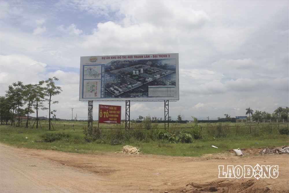 Dự án Khu đô thị mới Thanh Lâm - Đại Thịnh giờ vẫn còn khá sơ khai. Cỏ mọc hoang đầy trong khu dự án.