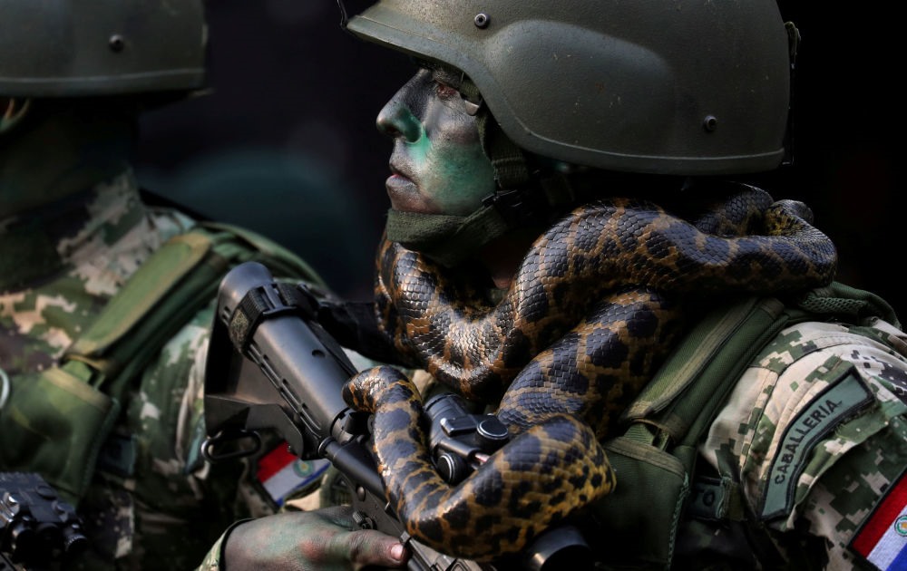 Lính đặc nhiệm với con rắn quấn cổ trong cuộc diễu binh Asuncion, Paraguay - Ành: Reuters
