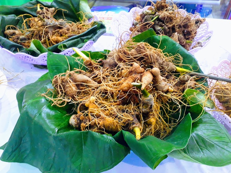 Sâm Ngọc Linh là loài cây dược liệu có giá trị kinh tế cao, chứa rất nhiều hợp chất rất tốt cho sức khỏe, nên giá của mỗi cây sâm thường rất cao. Sâm Ngọc Linh được trồng nhiều ở vùng núi Ngọc Linh mang thương hiệu của vùng đất nơi đây.. 