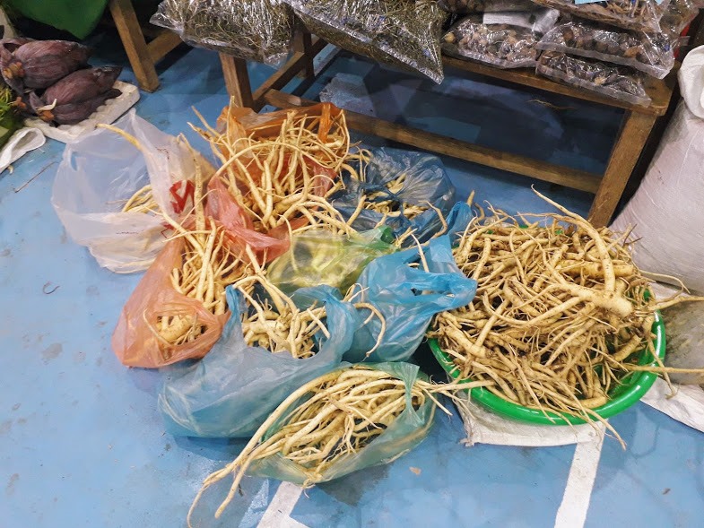 Ngoài sâm Ngọc Linh thì nấm da, nấm lim xanh cũng là một loại dược liệu quý được các đồng bào dân tộc ở đây trồng và quảng bá cho nhiều du khách.
