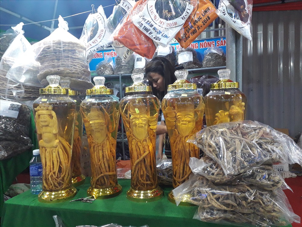 Ngoài sâm Ngọc Linh thì nấm da, nấm lim xanh cũng là một loại dược liệu quý được các đồng bào dân tộc ở đây trồng và quảng bá cho nhiều du khách.