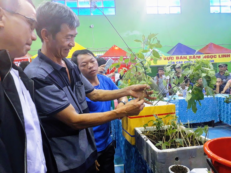Đặc biệt, lễ hội lần này còn diễn ra hội thi sâm. Cuộc thi sẽ chọn ra những cây sâm độc, lạ, lâu năm và tôn vinh những người trồng sâm.