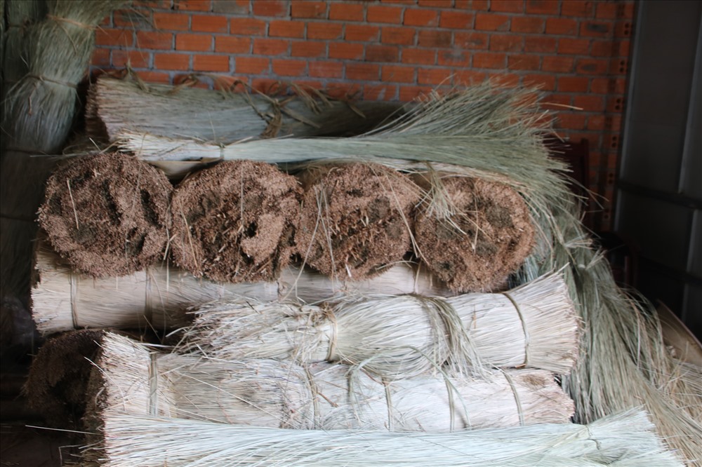 Làng nghề hiện có hơn 25ha trồng cói sẵn có tại địa phương. Sau khi thu hoạch, cói được đem phơi rồi sau đó mới nhuộm. Ảnh: P.Nhơn