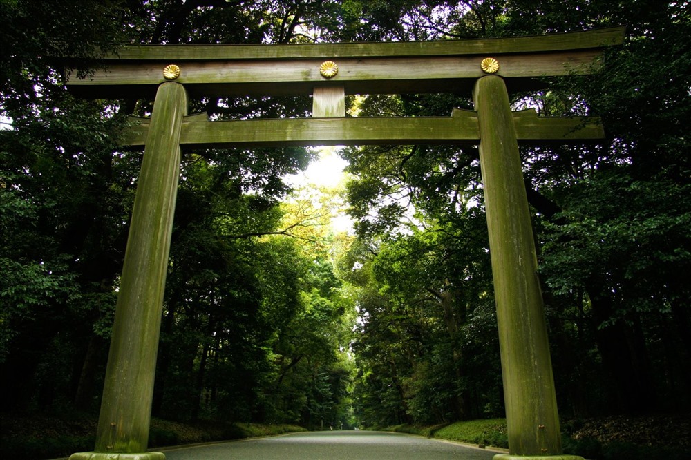 Đền Meji Jingu, nơi diễn ra nghi lễ Yabusame ở Tokyo vào tháng 9 hàng năm. Ảnh: Internet