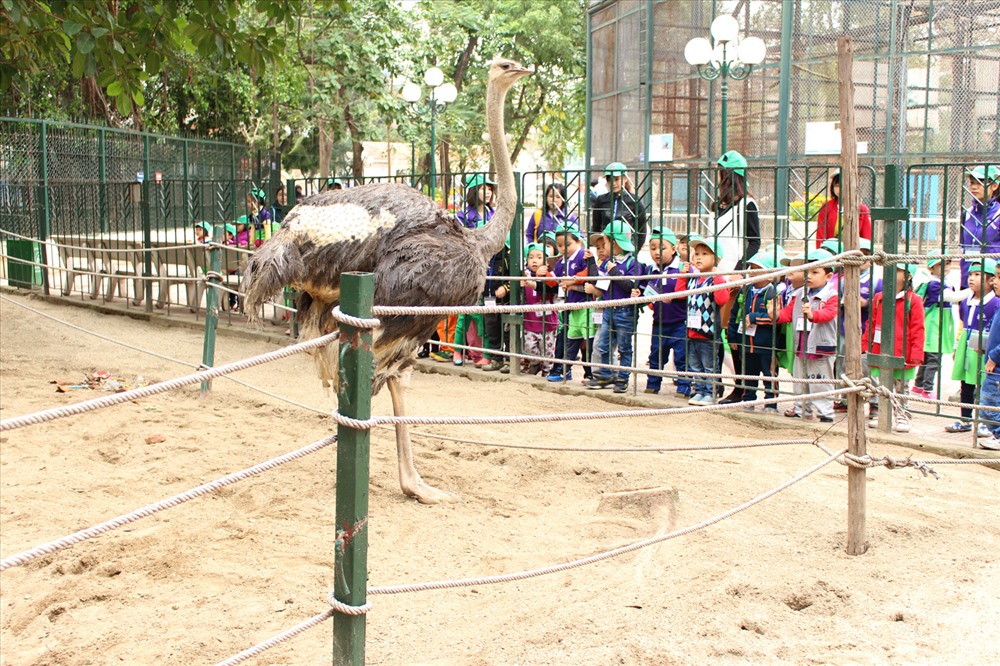 Công viên Thủ Lệ cũng là nơi thu hút khách tham quan vào dịp lễ, đặc biệt là phụ huynh và trẻ nhỏ. Tại đây, trẻ em được thỏa thích vui chơi và nhắm nhìn các con vật. 