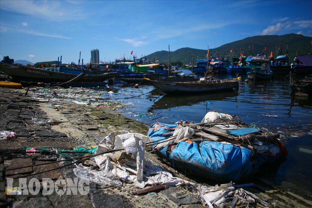 Tại ngã 3 Chu Huy Mân - Dương Vân Nga (phường Nại Hiên Đông, quận Sơn Trà) nhìn ra Âu thuyền, rác thải 'bao vây” chiều dài hơn 500m.
