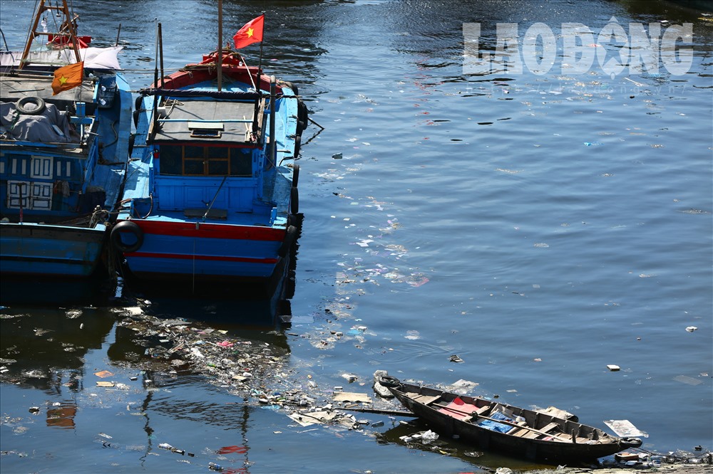 Dưới những thân tàu là rác thải ngập ngụa, giăng kín không gian mặt nước âu thuyền.