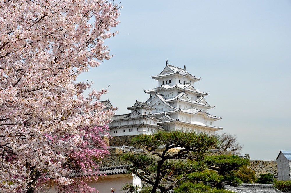 Lâu đài Himeji - Ảnh: Internet