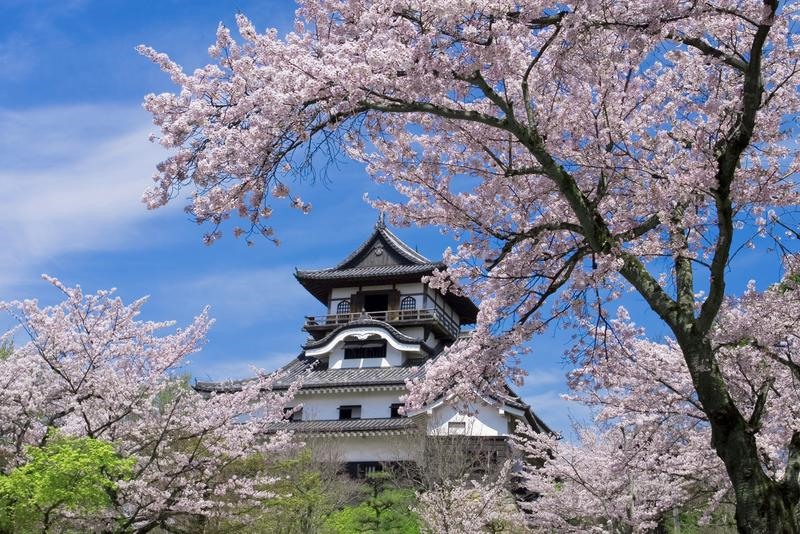 Lâu đài Inuyama - Ảnh: Internet