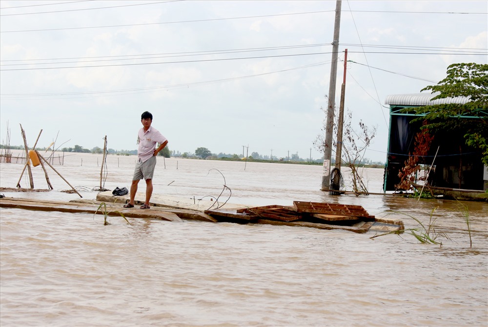 Nhiều tuyến đường đến trường ở xã Thường Phước, huyện Hồng Ngự (Đồng Tháp) bị lũ nhấn chìm. Ảnh: Lục Tùng