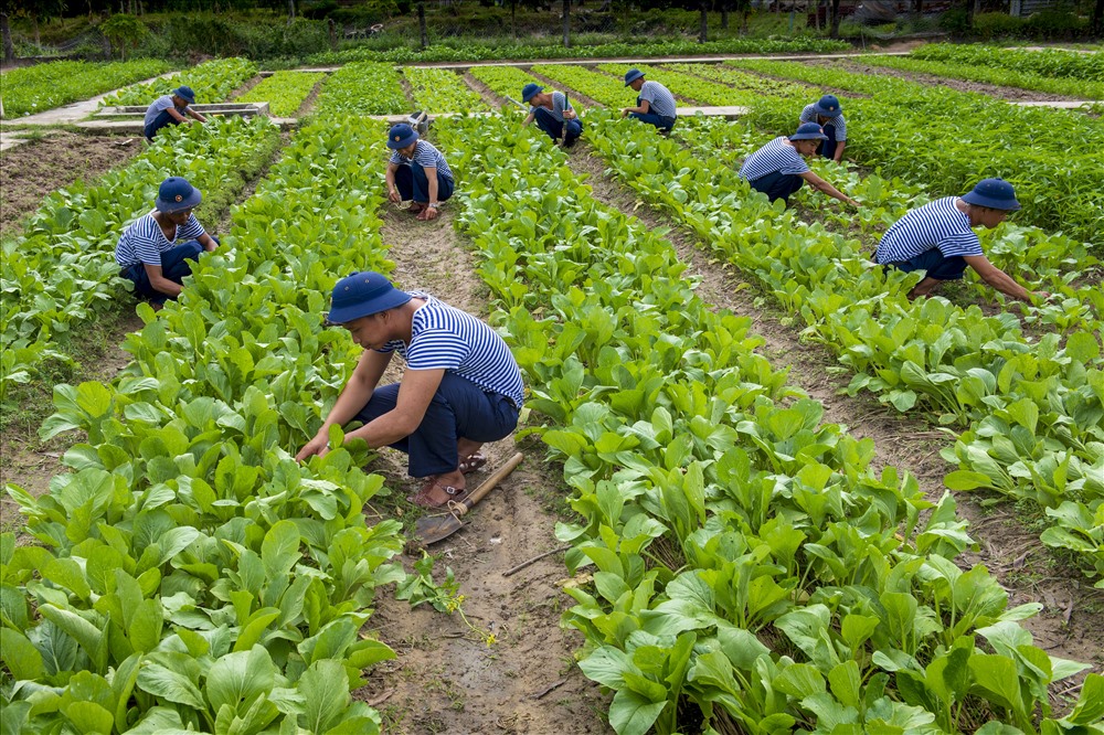 Màu xanh của người lính biển.