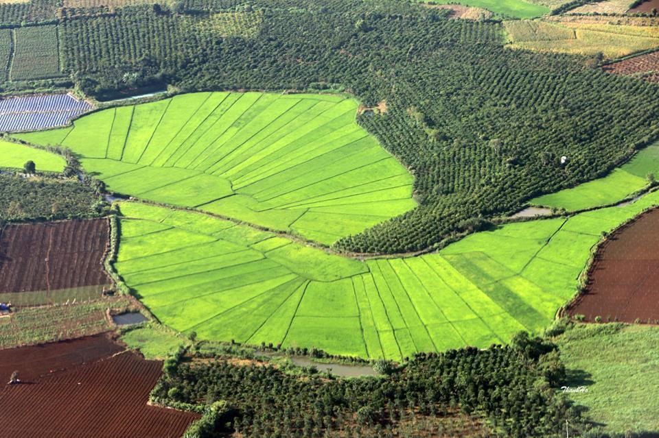 Đà Lạt nhìn từ trên cao - sân bay Liên Khương. Ảnh: Hồ Ngọc Thanh