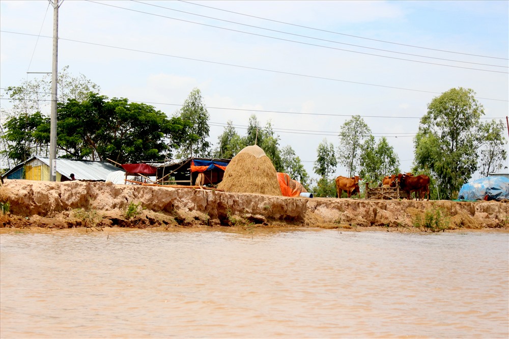 Sạt lở bờ kinh nội đồng đầu nguồn huyện Hồng Ngự, tỉnh Đồng Tháp. Ảnh: Lục Tùng