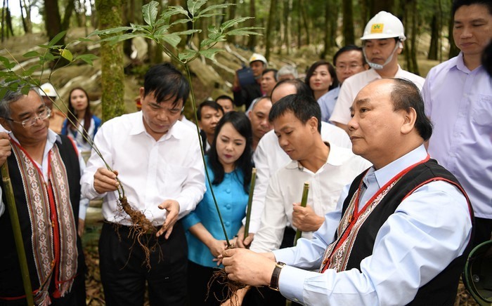 Thủ tướng Nguyễn Xuân Phúc thăm vườn sâm Ngọc Linh - Kon Tum ngày 5.9. Ảnh VGP/ Quang Hiếu