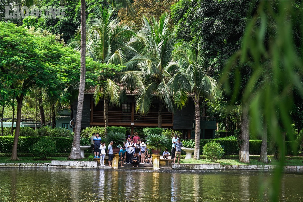 Trong khuôn viên của lăng chủ tịch Hồ Chí Minh có một ao cá rất lớn, chủ yếu là các loại cá vàng.