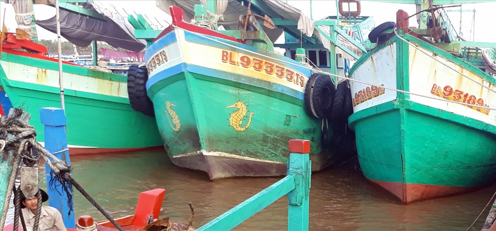 Tàu thuyền đậu tại Gành Hào, huyện Đông Hải, Bạc Liêu không ra khơi do bão số 1(ảnh Nhật Hồ)
