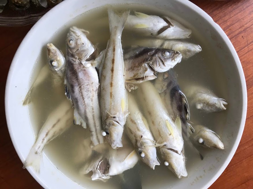 Cá nấu chua…