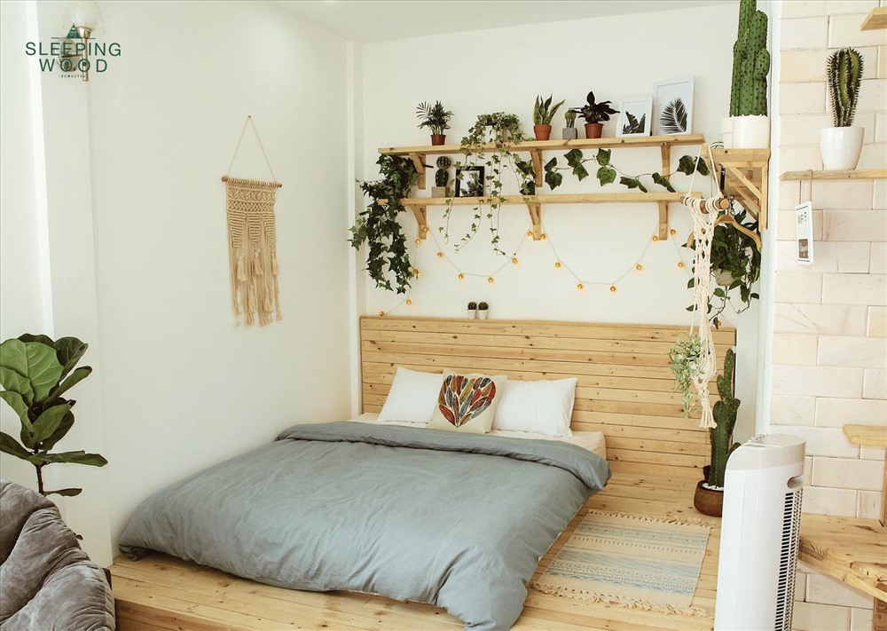 Một căn phòng được thiết kế rất trang nhã. Ảnh: Sleepingwood homestay
