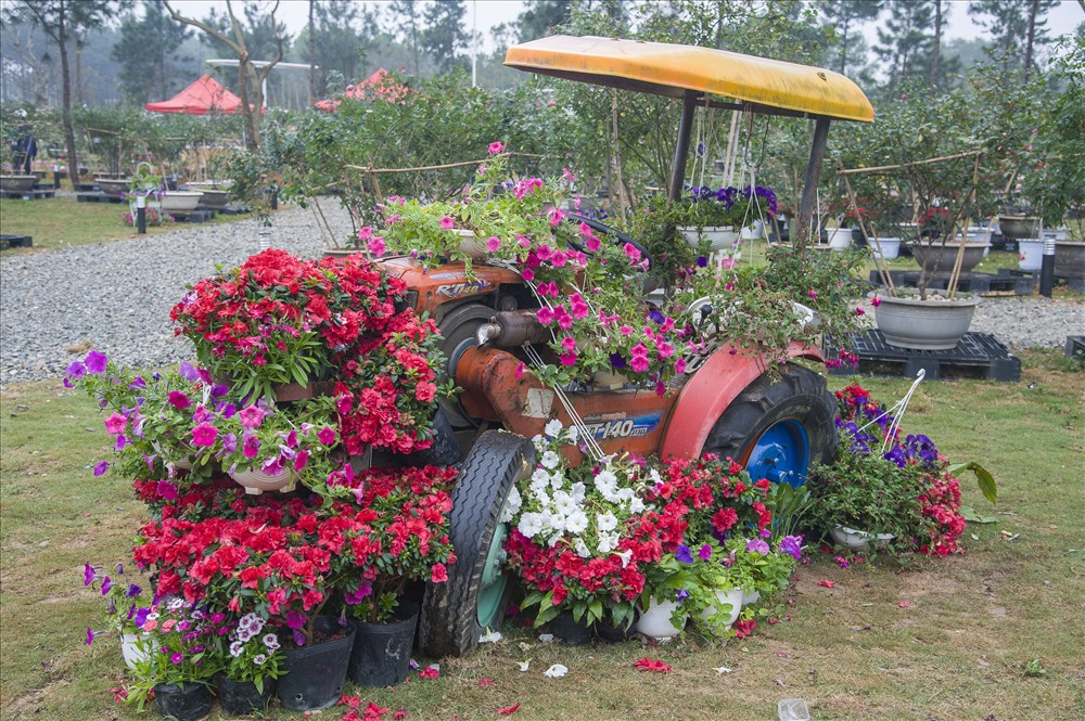 Ban tổ chức thiết kế và trang trí nhiều khu vực trong vườn hoa hồng để du khách dễ dàng đến vui chơi, chụp hình. 