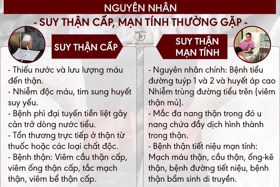 Suy Thận Cấp và Suy Thận Mạn: Hiểu Rõ Nguyên Nhân, Triệu Chứng và Cách Điều Trị Hiệu Quả