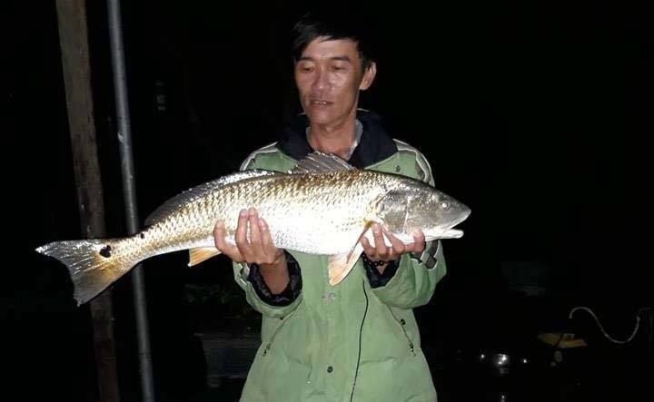 Nguyễn Văn Ngọc (43 tuổi) là người bắt được con cá lạ trên