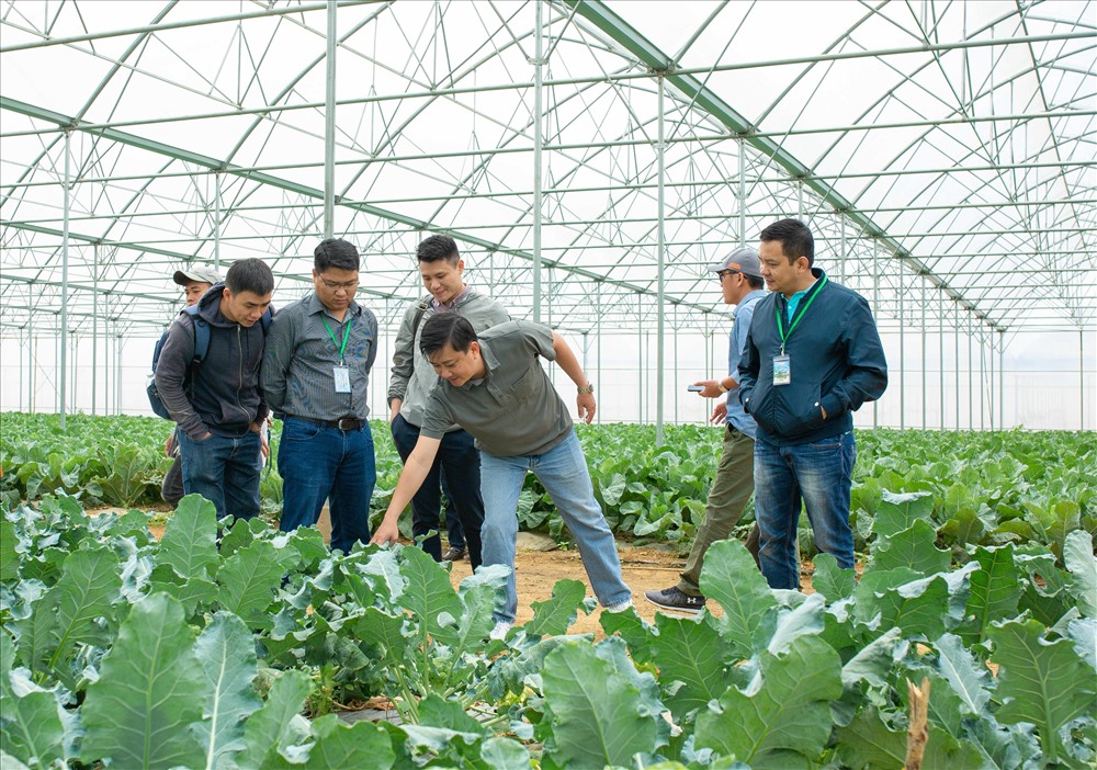 Các hộ nông dân tham quan và học tập tại nông trường VinEco. 