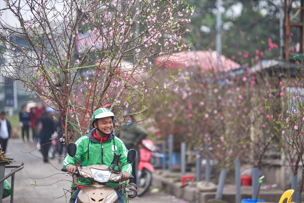 Những ngày gần đây, đào Tết bắt đầu được bán ở nhiều địa điểm tại Hà Nội. Cũng như mọi năm, đào Tết vẫn luôn thu hút được sự quan tâm của nhiều người đân. Mọi người vẫn hay nói vui rằng “thấy hoa đào nở là có Tết đang về”.