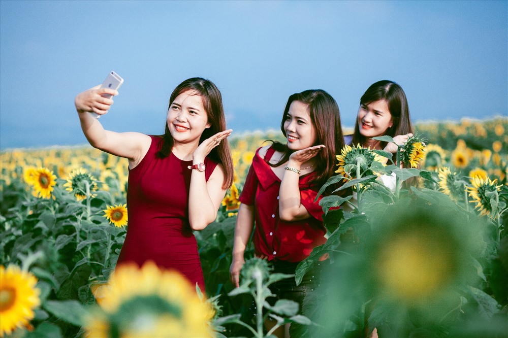 Mặc dù thời tiết vào mấy ngày nghỉ lễ có mưa rét nhưng không vì thế mà ngăn cản được du khách thỏa sức tạo dáng trước cánh đồng “hoa mặt trời“, lớn nhất Việt Nam này, ai cũng muốn ghi lại cho mình những hình ảnh đẹp làm kỷ niệm