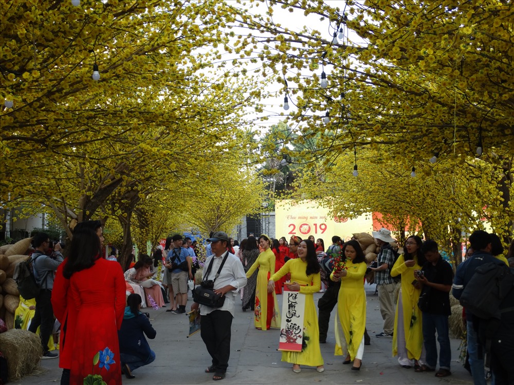 Những con đường hoa mai vàng tại phố ông đồ – Nhà Văn hóa Thanh Niên tràn ngập không khí Tết, thu hút đông đảo các tầng lớp, lứa tuổi đến tham quan chup hình.